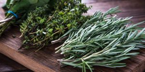 The Health Benefits of Herbs