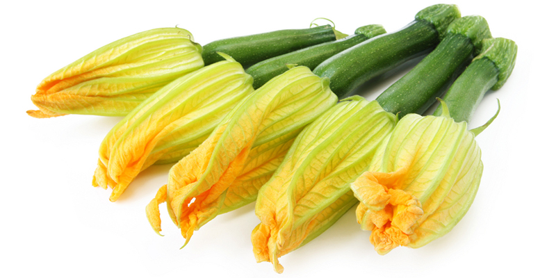 Spotlight on Zucchini Flowers