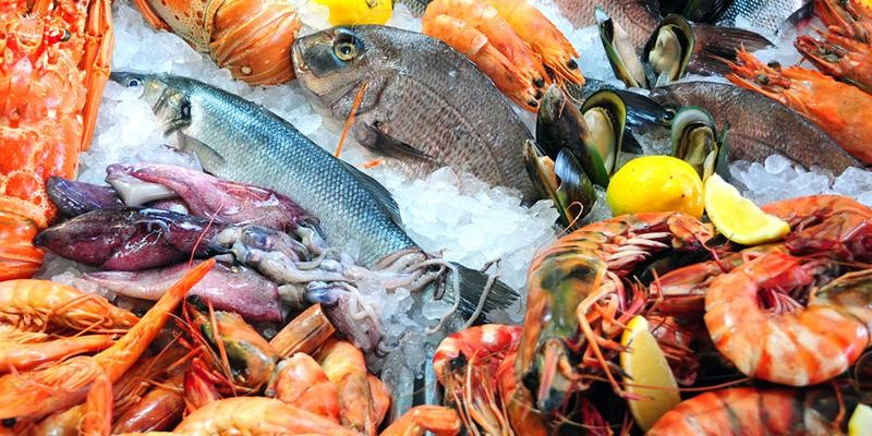 Sustainable Seafood Choices