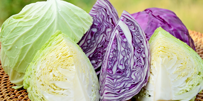 The Health Benefits of Cabbage