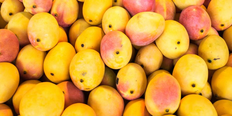 spotlight mangoes