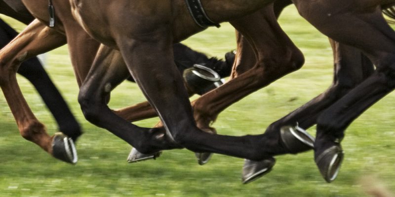 celebrate Melbourne cup Brisbane