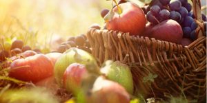 stanthorpe Apple & Grape Festiva