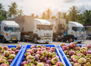 Australian refrigerated transport