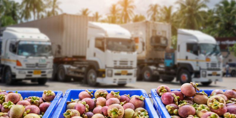 Australian refrigerated transport